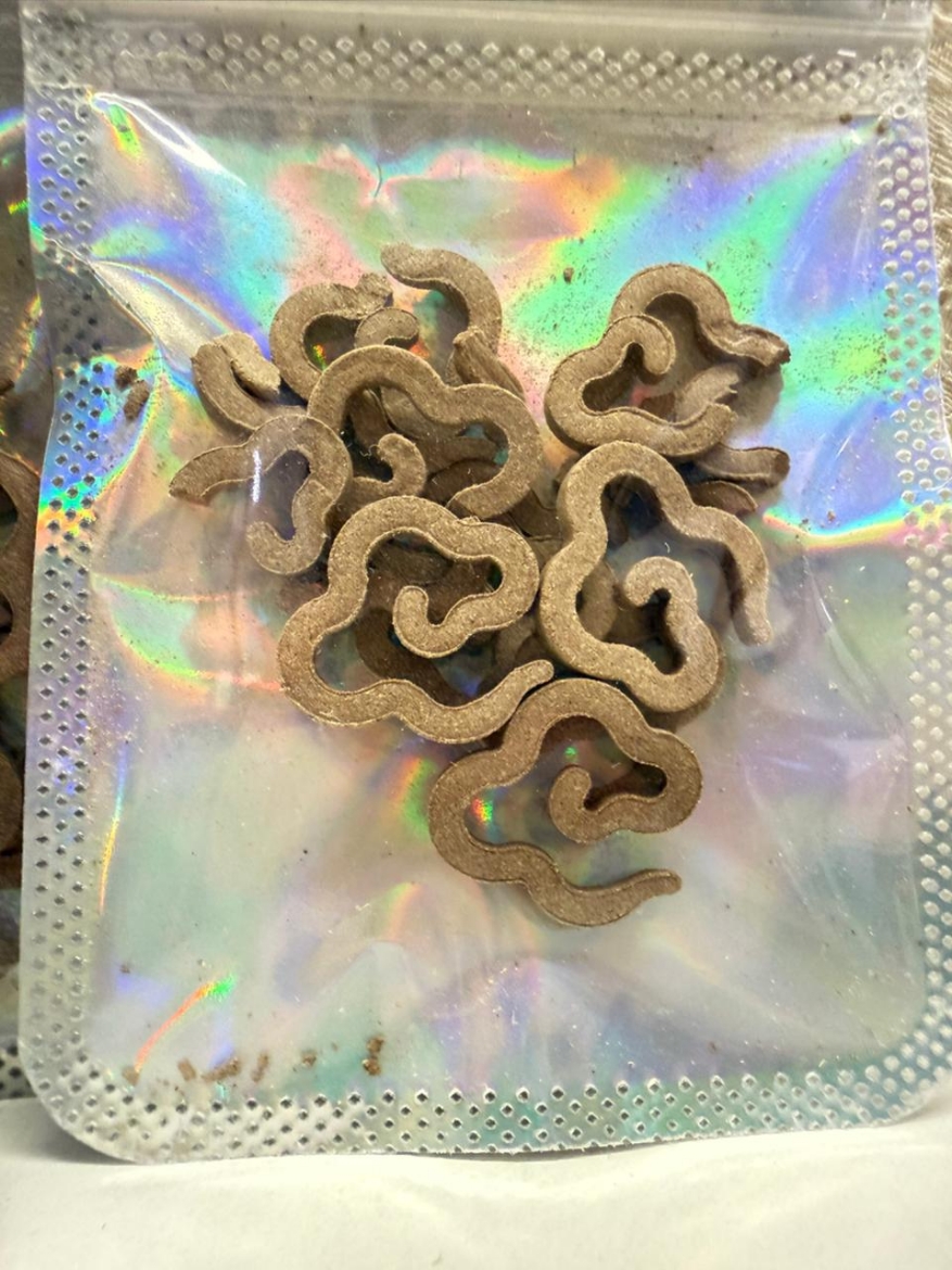صورة Coil incense