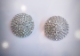 الصورة: Earing classy